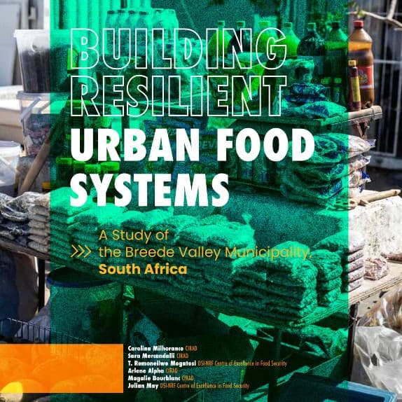 Remo Mogatosi Urban Food Systems Publication image